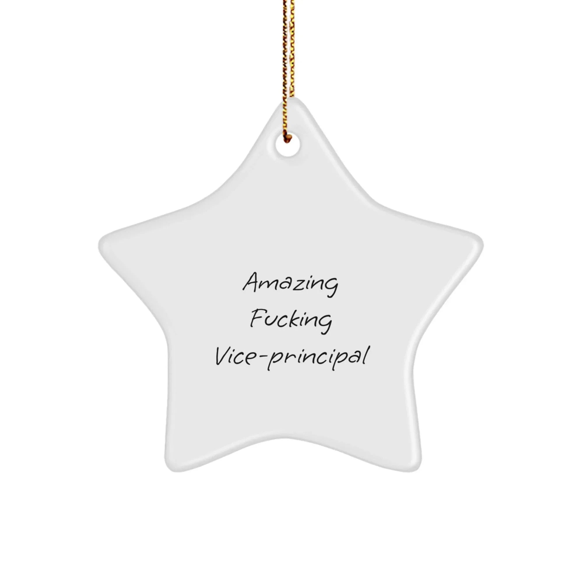 Funny Vice-Principal Star Ornament, Gifts from Friends for Amazing Vice-Principal, Christmas Unique Gifts