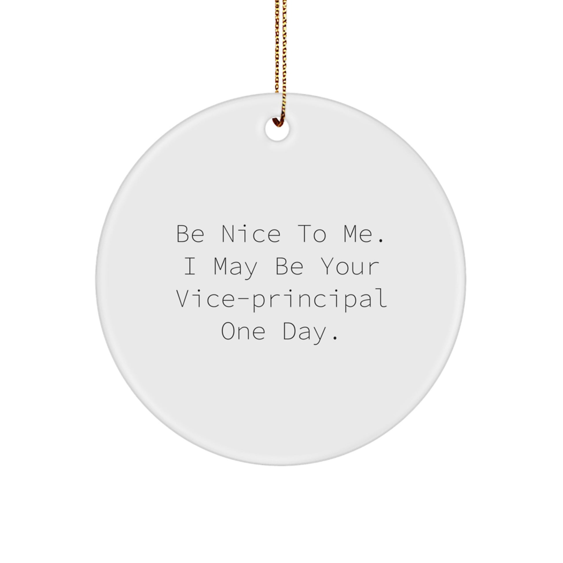 Funny Vice-principal Gifts: Be Nice To Me. I May Be Your Vice-principal One Day., Circle Ornament Christmas Gifts