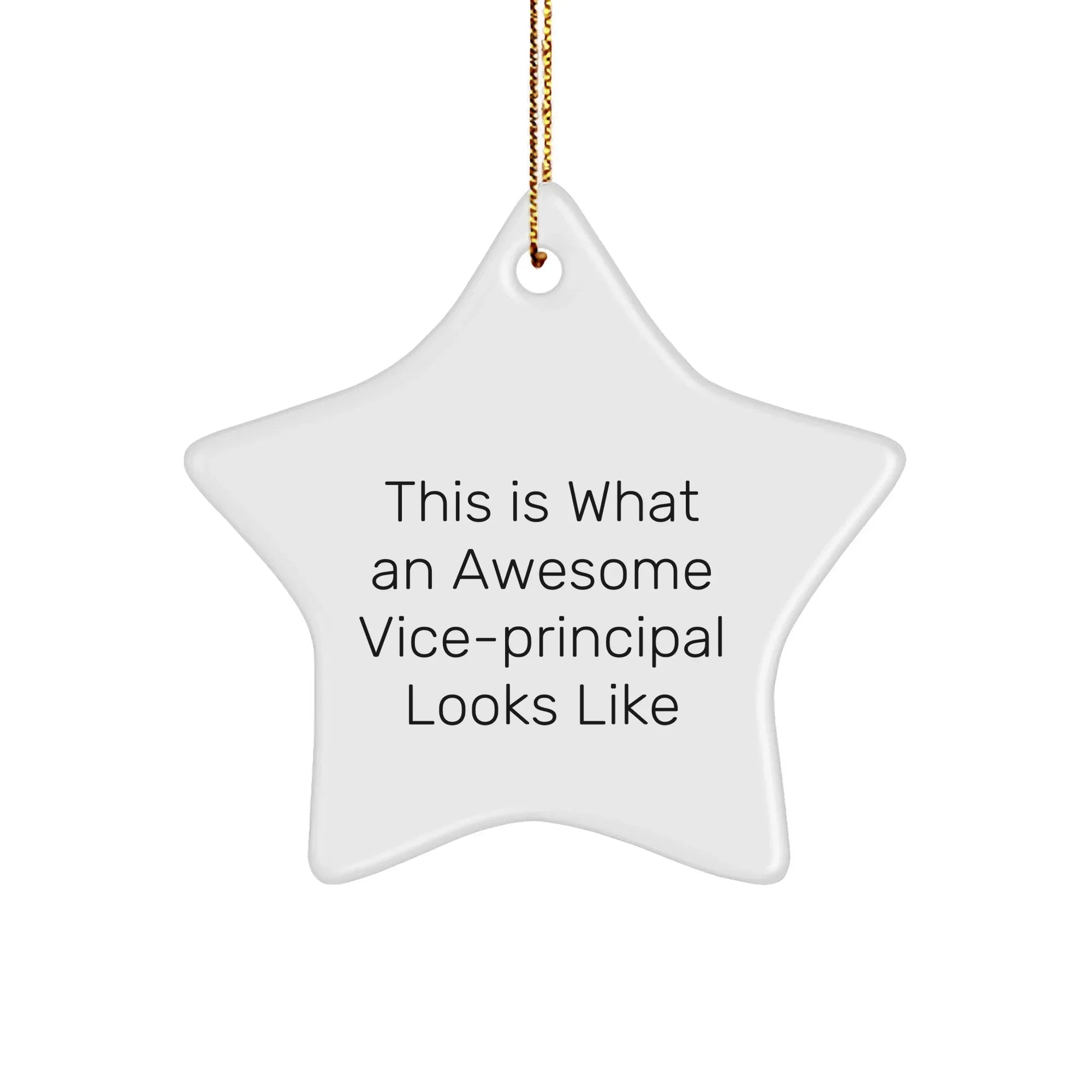 Funny Vice-principal Gifts, Star Ornament, This Is What An Awesome Vice-principal Looks Like, Christmas Unique Gifts from Family to Vice-principal
