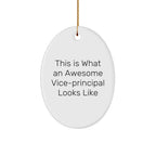 Funny Vice-principal Gifts from Men - This Is What An Awesome Vice-principal Looks Like Oval Ornament for Vice-principal, Christmas Unique Gifts