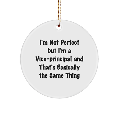 Funny Vice-principal Gifts from Men, Unique Circle Ornaments for Christmas, 'I'm Not Perfect' Quote