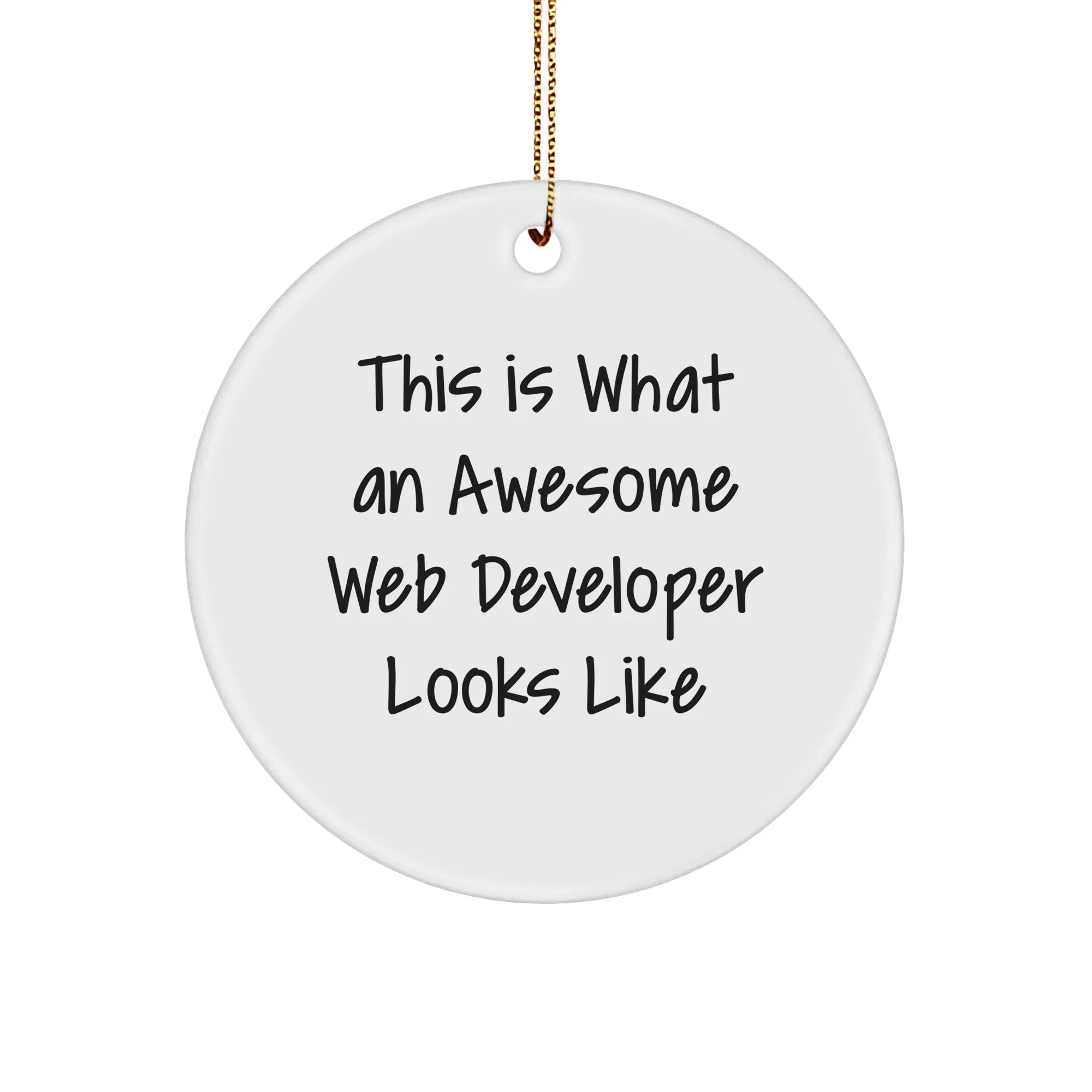 Funny Web Developer Gifts from Friends - This Is What An Awesome Web Developer Looks Like Circle Ornament for Christmas