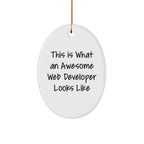 Funny Web Developer Gifts from Friends for Men - Oval Ornament This Is What An Awesome Web Developer Looks Like - Christmas Unique Presents