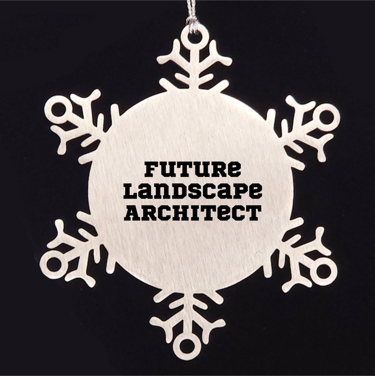 Future Landscape Architect Christmas Unique Gifts from Friends Snowflake Ornament, Inspirational Quotes for Landscape Architects, Shatterproof Snowflake Decoration, 3.14 Inch Diameter