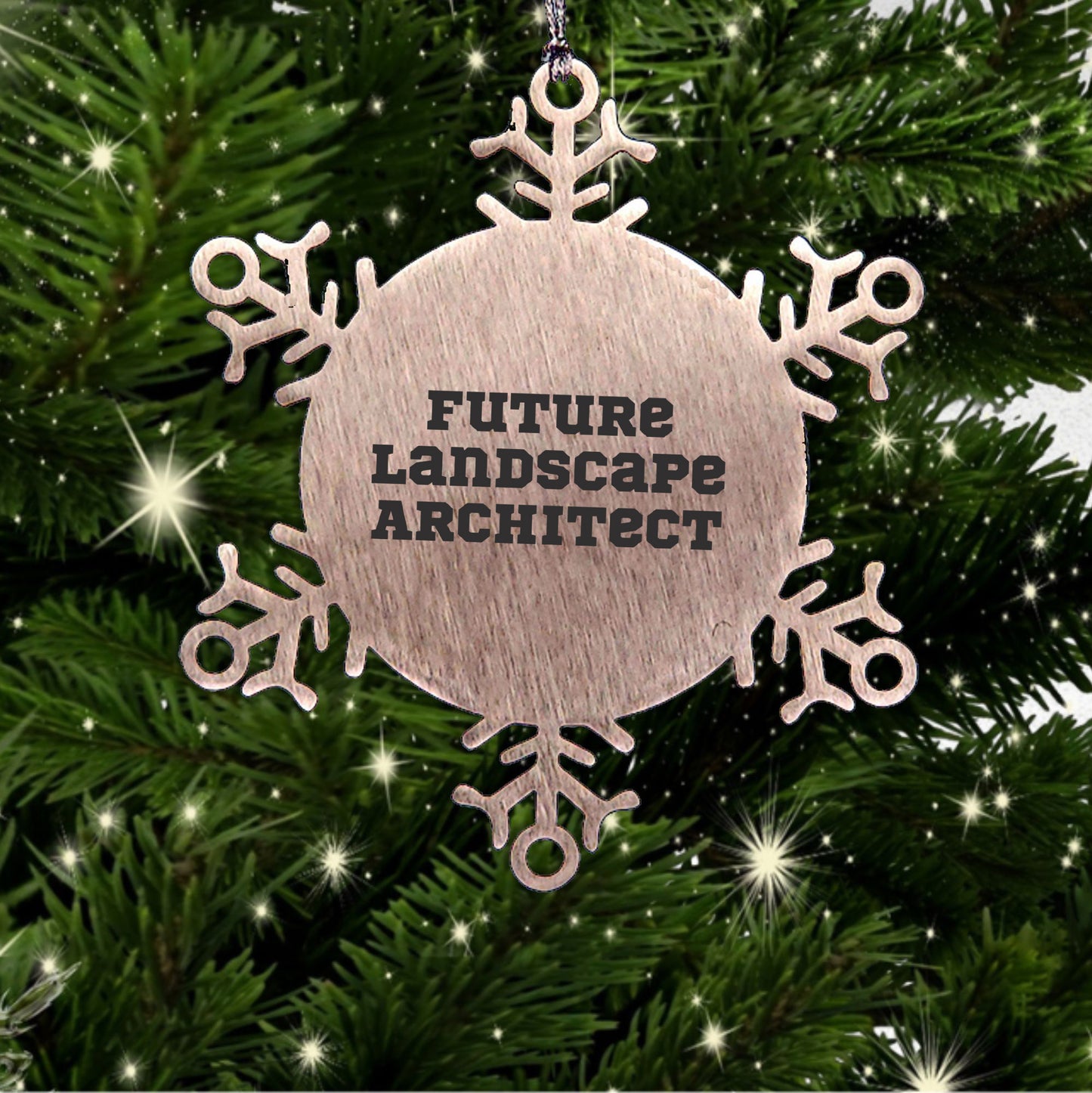 Future Landscape Architect Christmas Unique Gifts from Friends Snowflake Ornament, Inspirational Quotes for Landscape Architects, Shatterproof Snowflake Decoration, 3.14 Inch Diameter