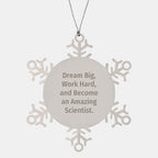 Gifts from Friends for Amazing Scientist Snowflake Ornament - Dream Big, Work Hard - Christmas Unique Gifts for Scientist Men