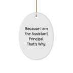 Gifts from Friends for Assistant Principals, Oval Ornament Because I Am The Assistant Principal. That's Why., Funny Christmas Unique Gift
