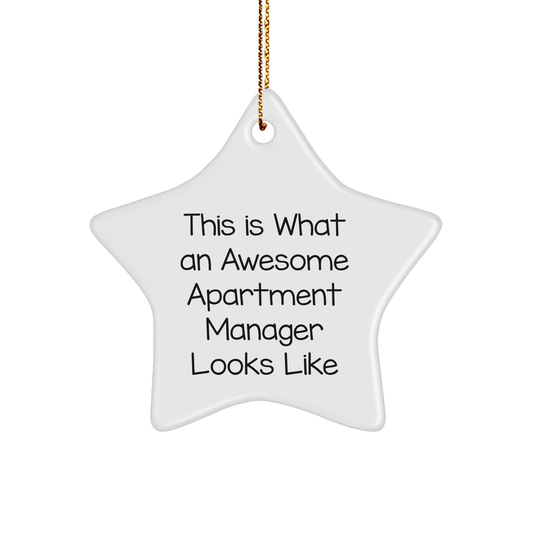 Gifts from Friends for Awesome Apartment Managers - Star Ornament, Funny Quote, Christmas Decorations