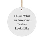 Gifts from Friends for Awesome Trainers - Trainer Circle Ornament, This Is What An Awesome Trainer Looks Like, White, 2.75 Tall, Christmas Decor