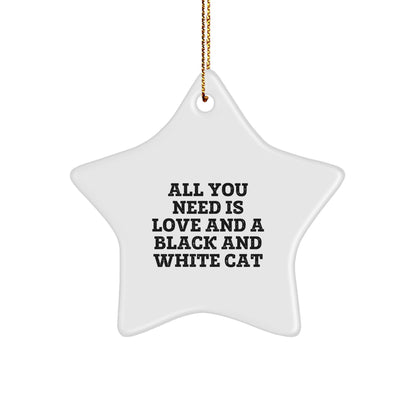 Gifts from Friends for Black and White Cat Lovers - Star Ornament with Quote: All You Need Is Love And A Black And White Cat, Christmas Unique Gifts