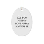 Havanese Dog Lovers Gifts from Friends to Family - Oval Ornament with Funny Quote - All You Need Is Love And A Havanese, Christmas Unique Gifts