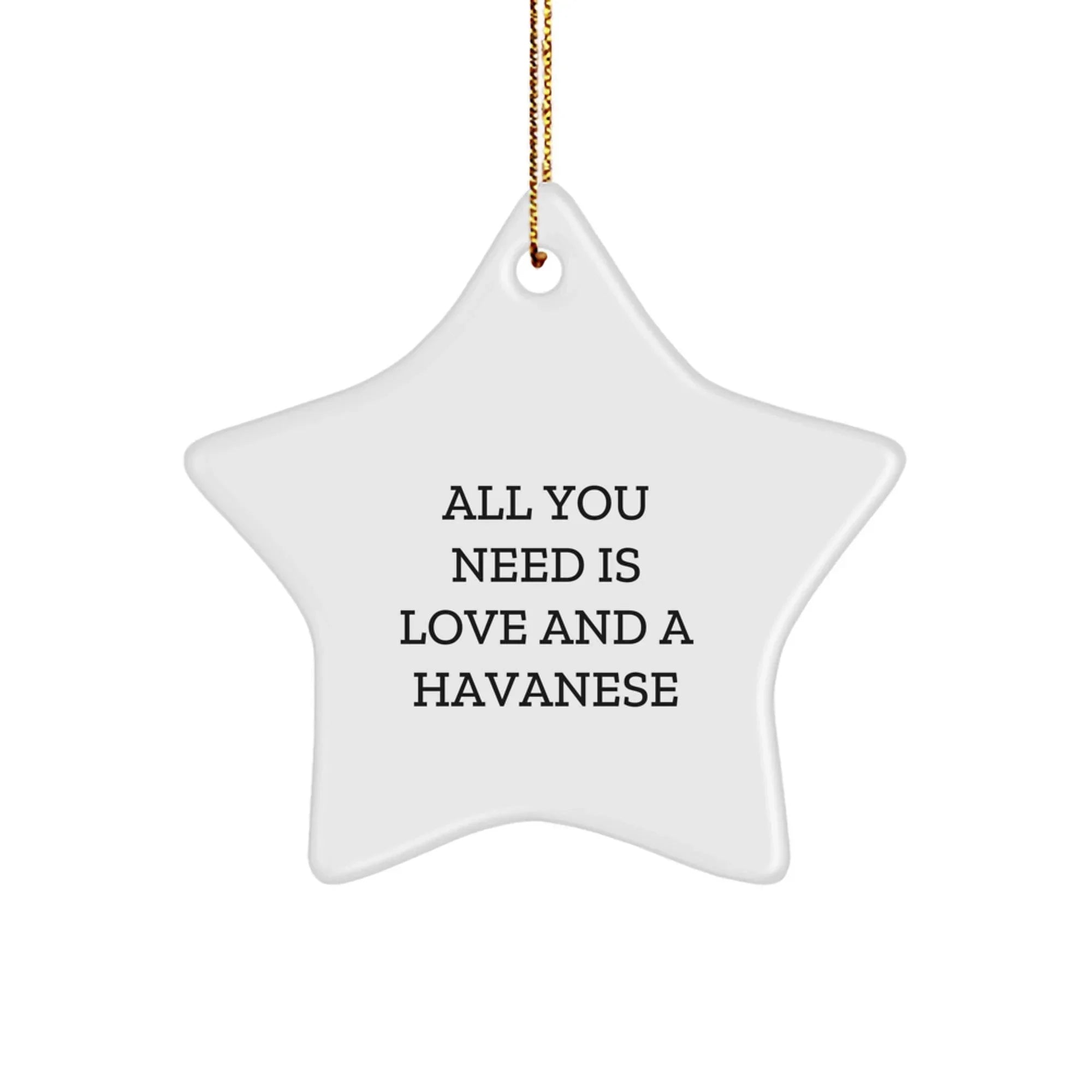 Havanese Dog Lovers' Star Ornament - 'All You Need Is Love And A Havanese'