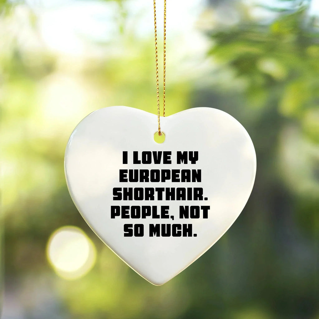 Funny European Shorthair Cat Heart Ornament Gifts from Friends to Family, 'I Love My European Shorthair. People, Not So Much.' for Christmas Unique Gifts