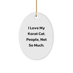 I Love My Korat Cat Gifts from Friends - Oval Ornament for Christmas