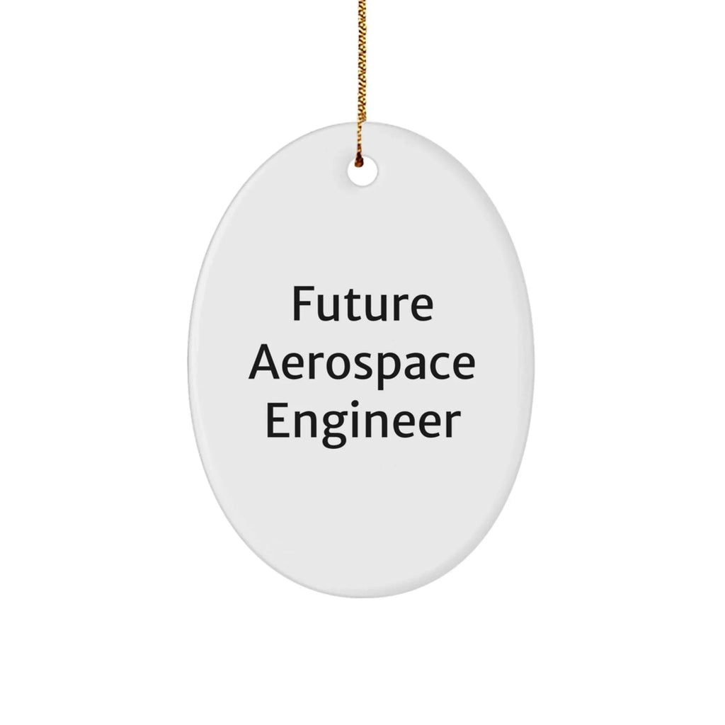 Inspirational Future Aerospace Engineer Oval Christmas Tree Ornament Gifts