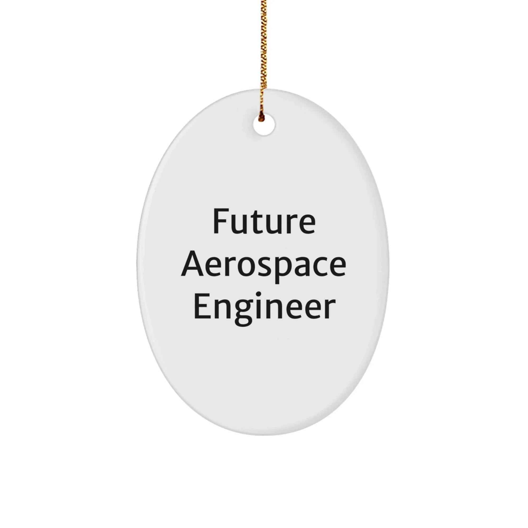 Inspirational Future Aerospace Engineer Oval Christmas Tree Ornament Gifts