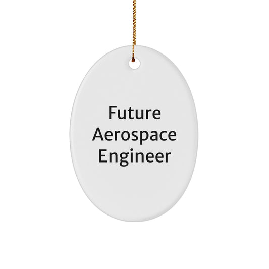 Inspirational Future Aerospace Engineer Oval Ornament Gifts from Family for Christmas - Image 1