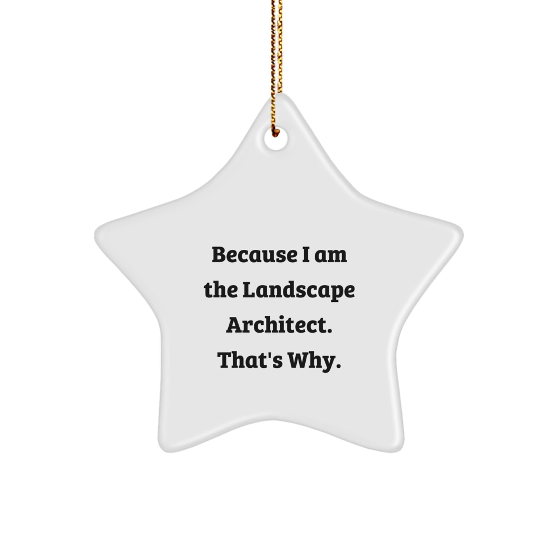 Landscape Architect Gifts from Friends, Funny Star Ornament with Quote Because I Am The Landscape Architect. That's Why., Christmas Unique Gifts for Landscape Architects