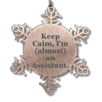 Landscape Architect Snowflake Ornaments, Funny Quote Gifts from Friends to Coworkers, Keep Calm Almost a Landscape Architect, Christmas Unique Gifts