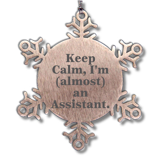 Landscape Architect Snowflake Ornaments, Funny Quote Gifts from Friends to Coworkers, Keep Calm Almost a Landscape Architect, Christmas Unique Gifts