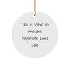 Magistrate Gifts from Friends, This Is What an Awesome Circle Ornament Looks Like for Christmas