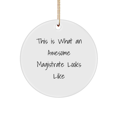 Magistrate Gifts from Friends, This Is What an Awesome Circle Ornament Looks Like for Christmas