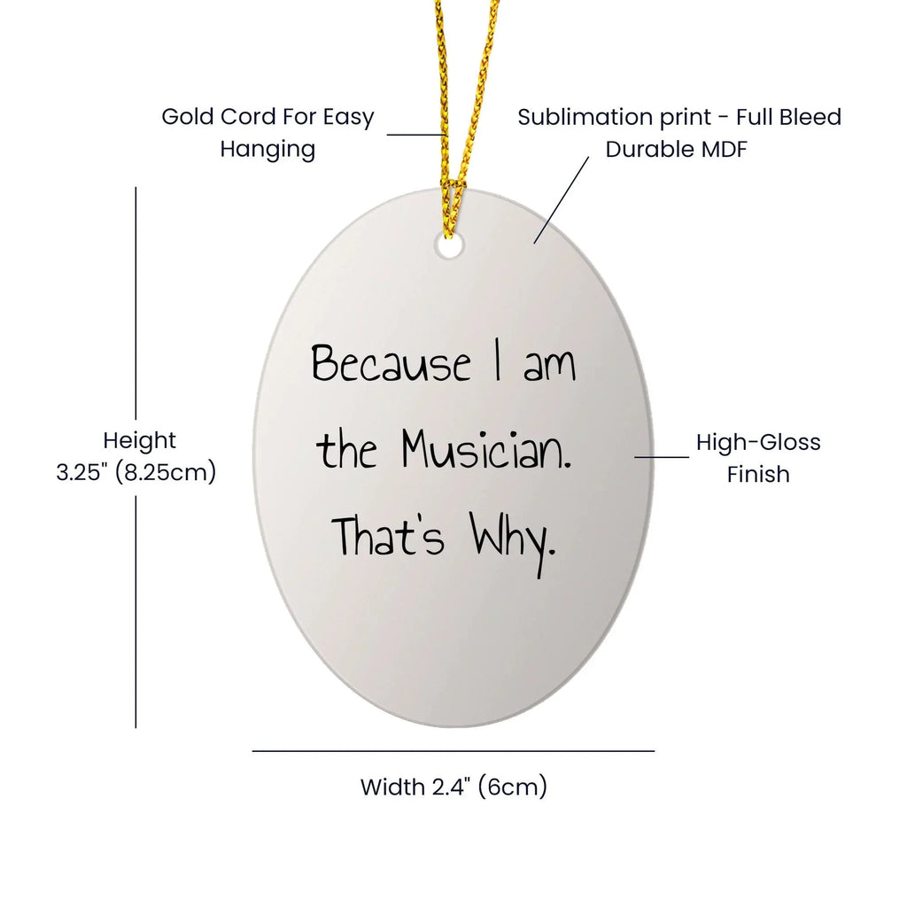 Musician Gifts from Friends, 'Because I Am The Musician. That's Why.' Oval Ornament for Christmas
