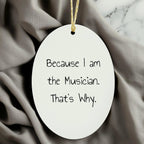 Musician Gifts from Friends, 'Because I Am The Musician. That's Why.' Oval Ornament for Christmas