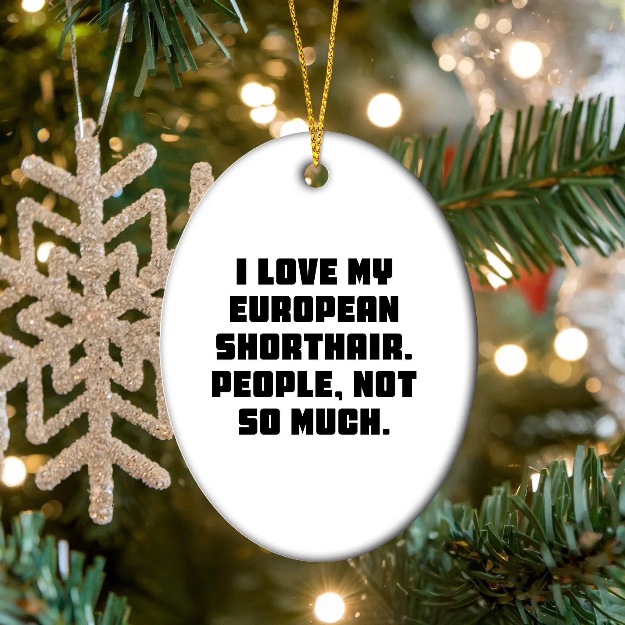 European Shorthair Cat Lover's Humorous Gift, 'I Love My European Shorthair. People, Not So Much.' Oval Ornament for Christmas