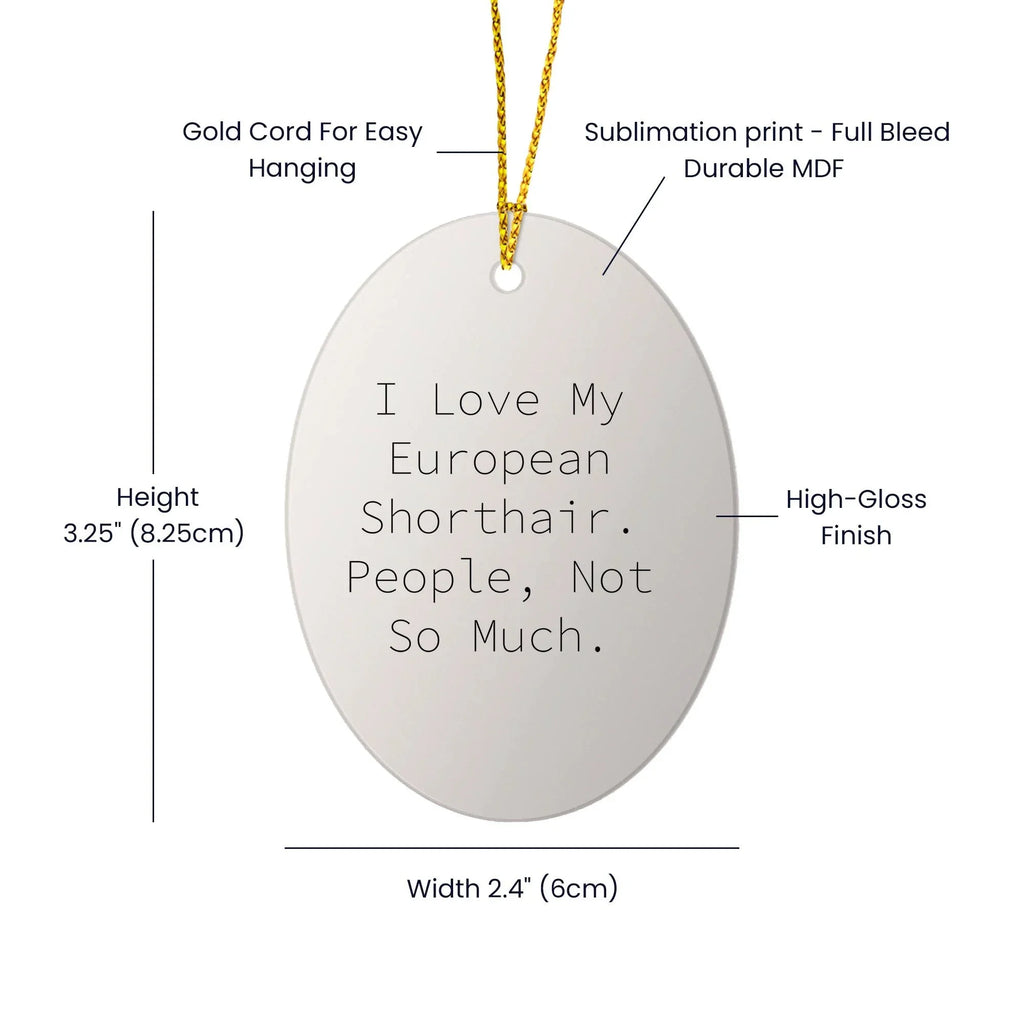 European Shorthair Cat Lovers' Humorous Oval Ornament Gifts from Friends, Family, and Coworkers