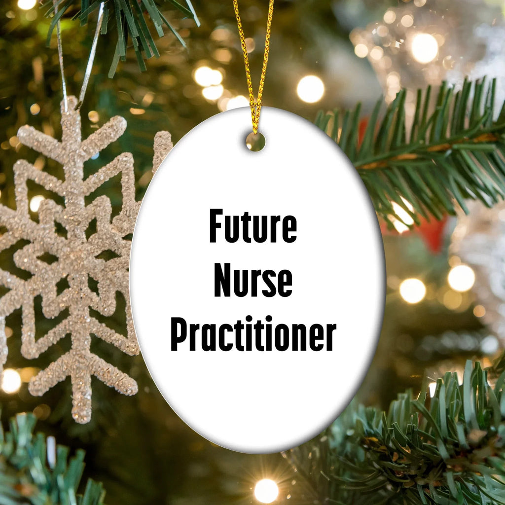 Funny Future Nurse Practitioner Oval Ornament Gifts from Men to Nurse Practitioner Friends at Christmas Time