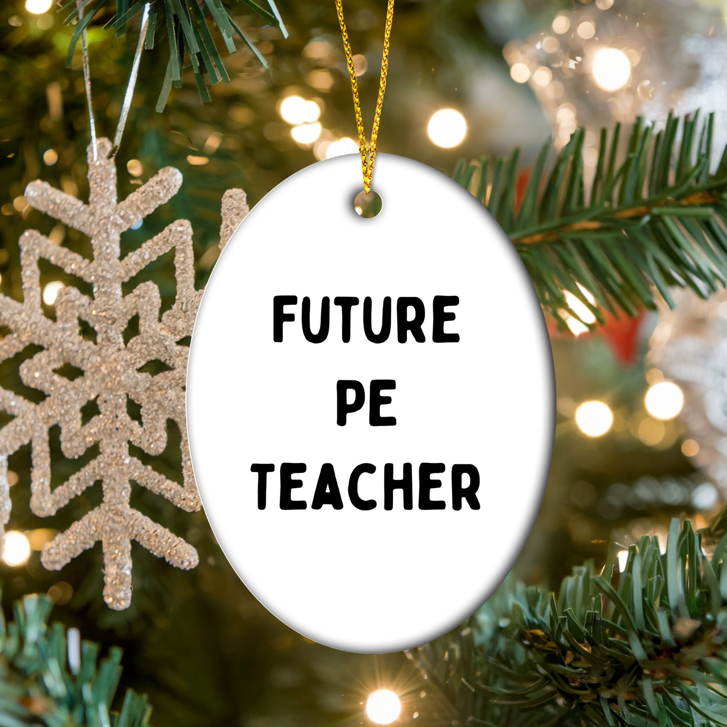 Funny PE Teacher Oval Christmas Ornament 'Future PE Teacher' Appreciation Birthday Gifts