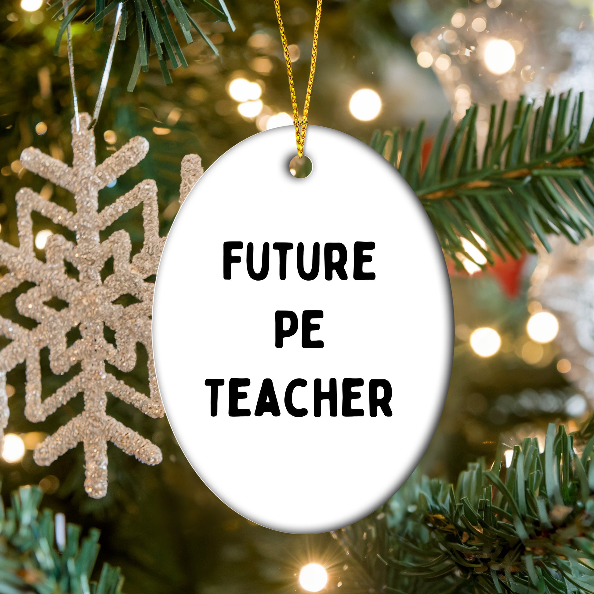 Funny PE Teacher Oval Christmas Ornament 'Future PE Teacher' Appreciation Birthday Gifts