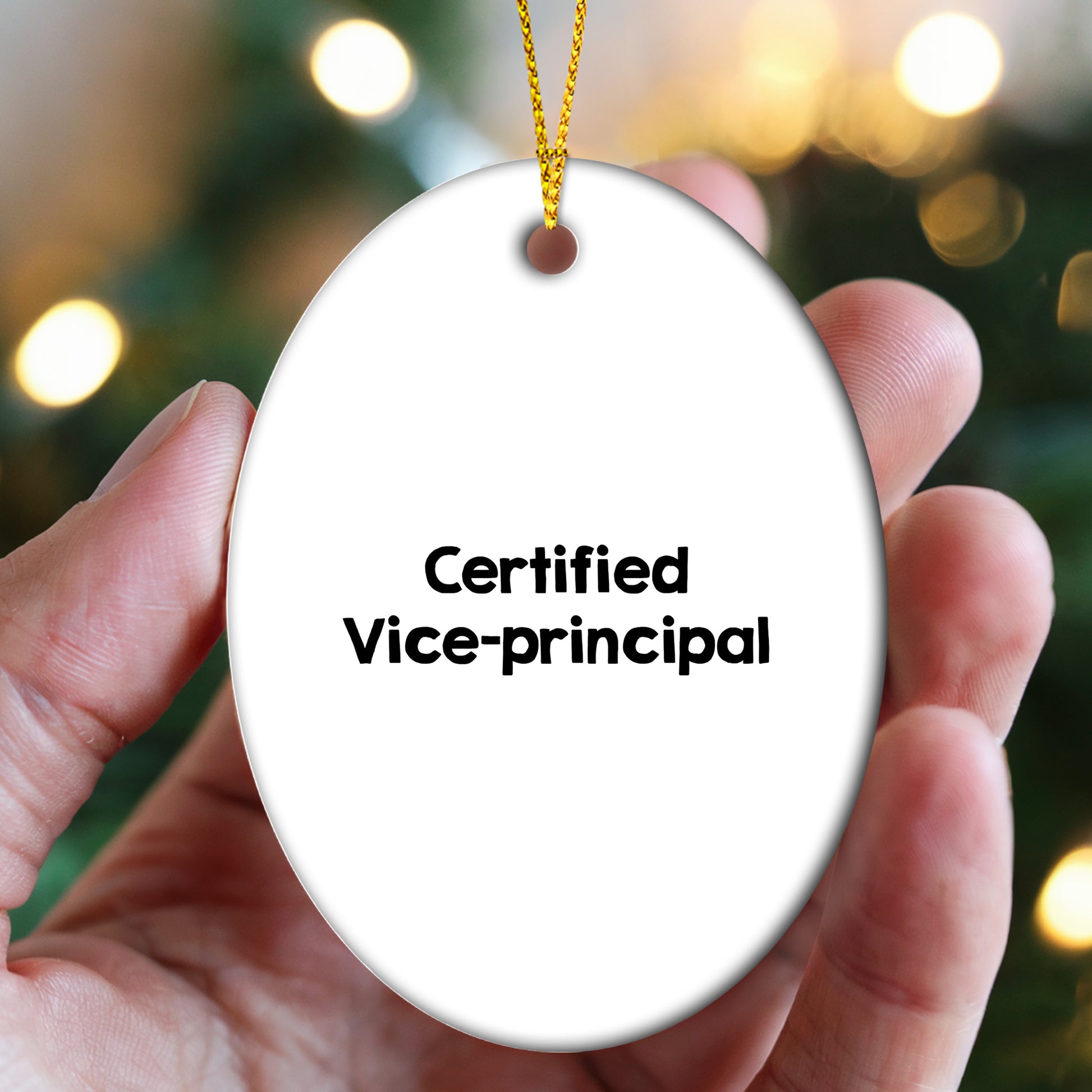Funny Vice-principal Gifts from Men, Gifts for Vice-principal on Christmas Unique Gifts - Mallard Moon Gift Shop