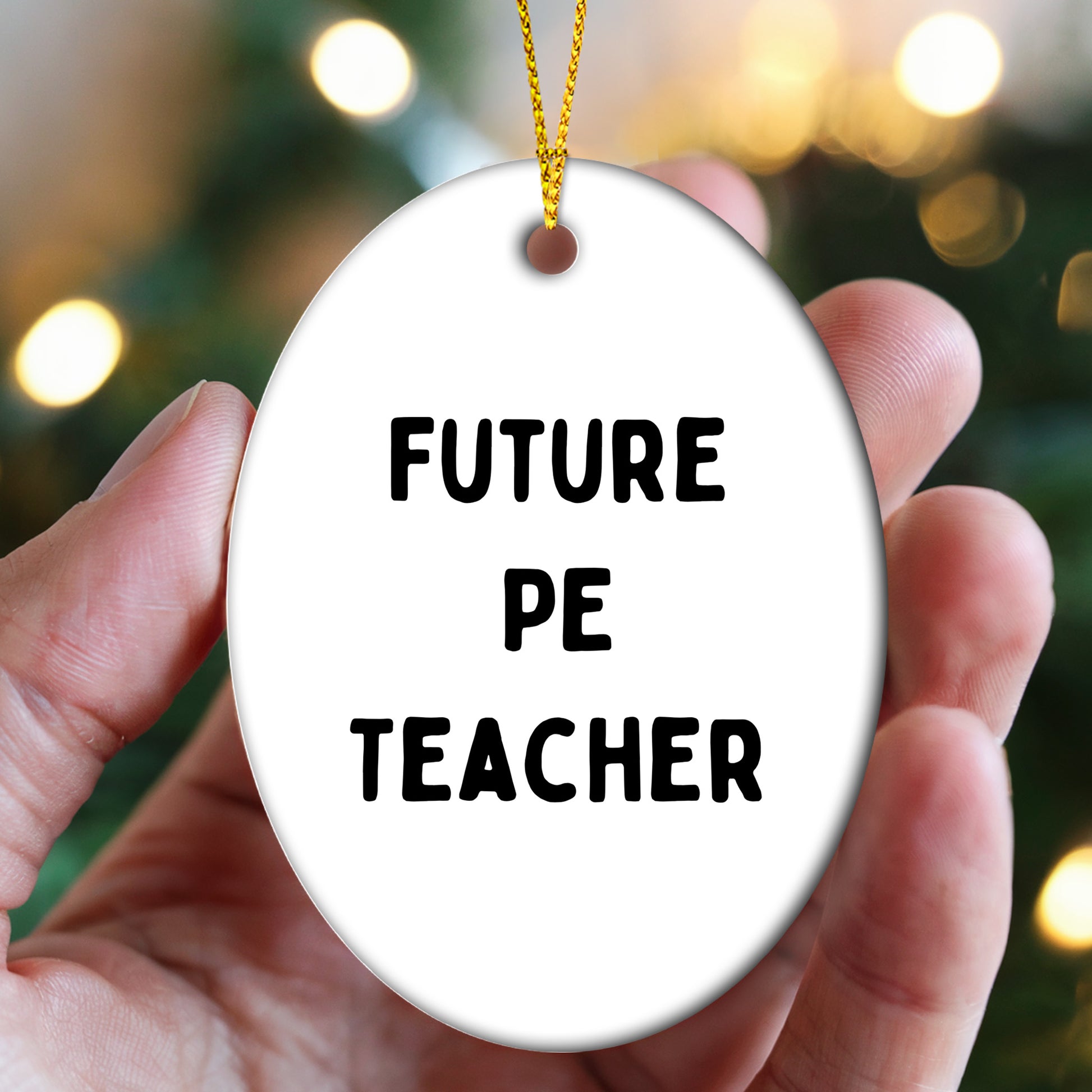 Funny PE Teacher Oval Christmas Ornament 'Future PE Teacher' Appreciation Birthday Gifts