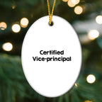 Funny Vice-principal Gifts from Men, Gifts for Vice-principal on Christmas Unique Gifts
