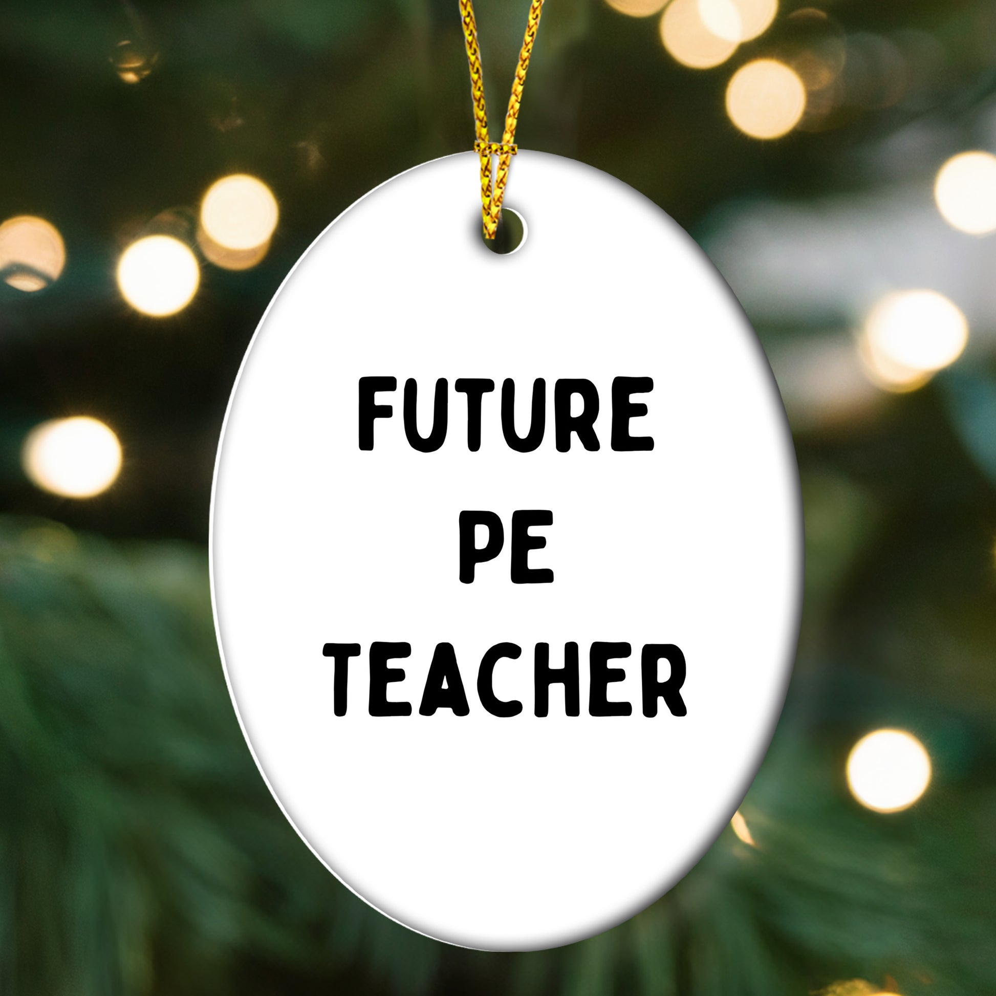 Funny PE Teacher Oval Christmas Ornament 'Future PE Teacher' Appreciation Birthday Gifts