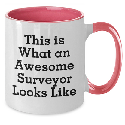 Funny Surveyor Gifts for Mom - Surveyor Inspired Two Tone Coffee Mug with 'This Is What An Awesome Surveyor Looks Like' Quote, Gifts from Mom to Surveyor, Unique Mother's Day Unique Gifts - Additional