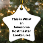 Funny Postmaster Gifts from Friends - This Is What An Awesome Postmaster Looks Like Star Ornament for Christmas