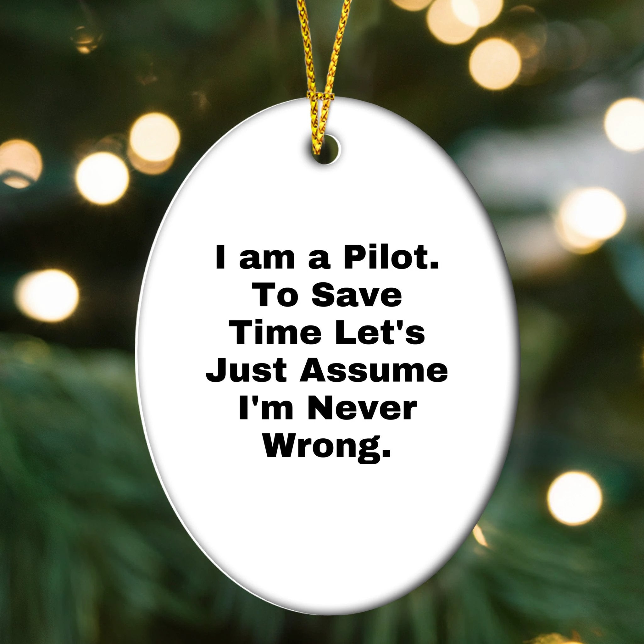 Funny Pilot Gifts for Christmas, Oval Ornament for Pilot Friends Family