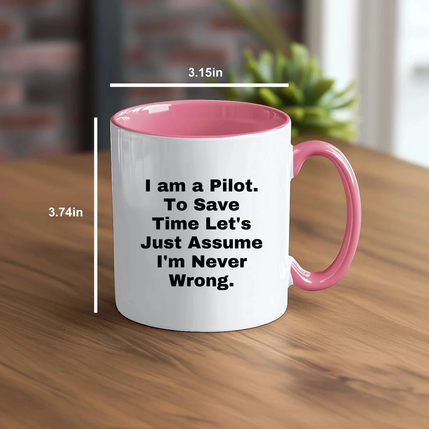 Funny Pilot Gift Mug I Am A Pilot To Save Time Lets Just Assume Im Never Wrong Christmas Unique Gifts for Men from Friends
