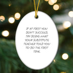 Funny Substitute Teacher Gifts for Men, Women, Friends, or Coworkers - Oval Ornament - If At First You Don't Succeed, Gifts from Family, Christmas Unique Gifts for Substitute Teacher