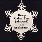 Funny Assistant Snowflake Ornament Gifts from Friends to Coworkers, Keep Calm I'm almost An Assistant - Christmas Unique Gifts for Assistant, Snowflake Ornament Lovers