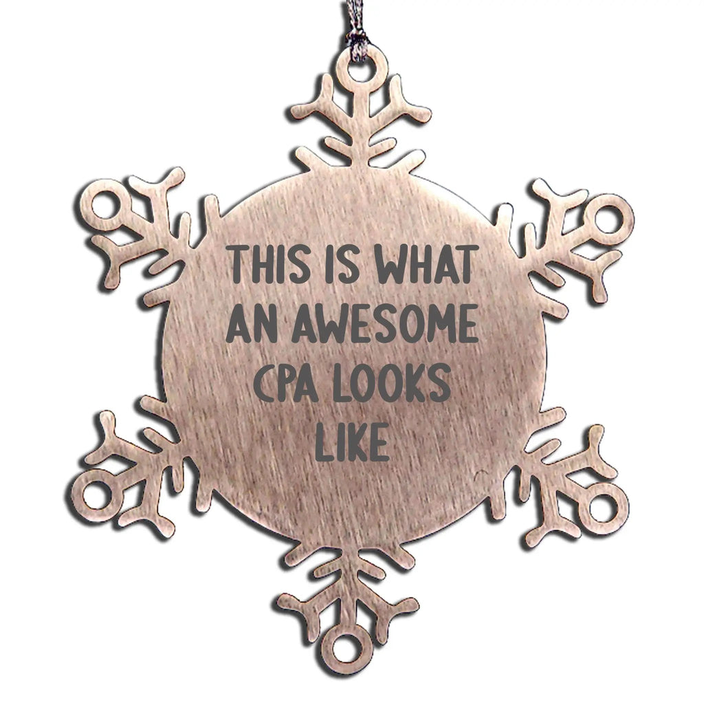 Snowflake Ornaments for CPAs, Funny Gifts from Men to CPAs, Unique Christmas Unique Gifts for Accountants
