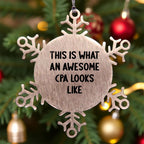 Snowflake Ornaments for CPAs, Funny Gifts from Men to CPAs, Unique Christmas Unique Gifts for Accountants