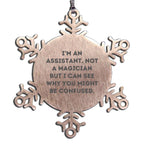 Funny Assistant Snowflake Ornament Gifts from Friends to Assistant Christmas Unique Gifts