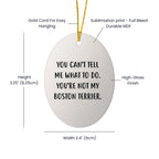 Boston Terrier Funny Oval Ornament Gift For Christmas