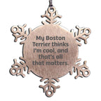 Boston Terrier Christmas Snowflake Ornament With Sweet Quote Ideal Gift