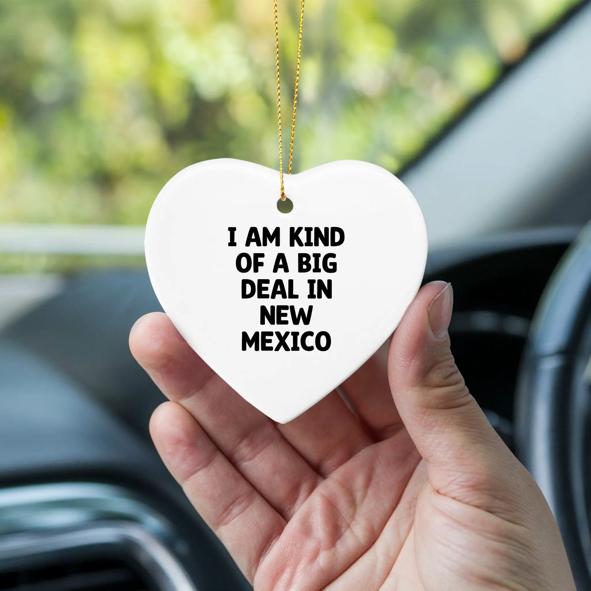 New Mexico Enthusiast Ornament I Am Kind Of A Big Deal Gift
