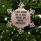 New Mexico Snowflake Ornament I Am Kind Of A Big Deal Gift For Christmas